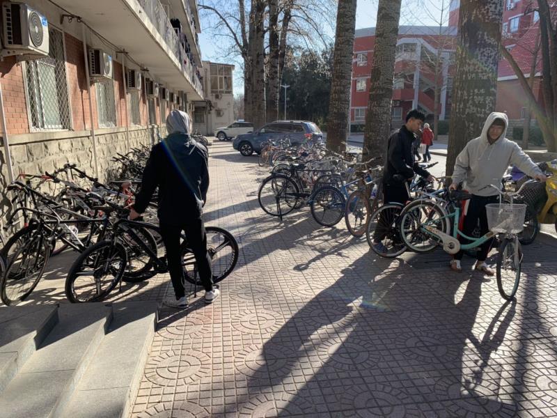 电竞实时数据网