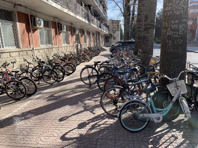 电竞实时数据网