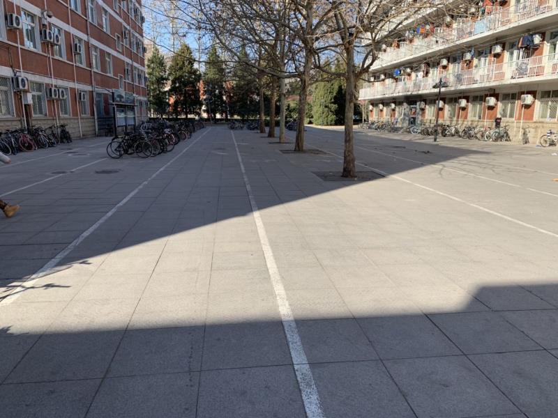 电竞实时数据网