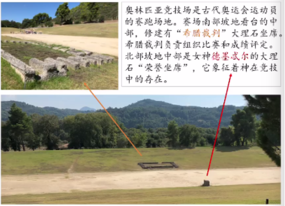 电竞实时数据网