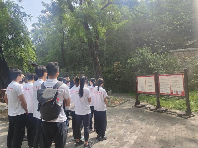 电竞实时数据网