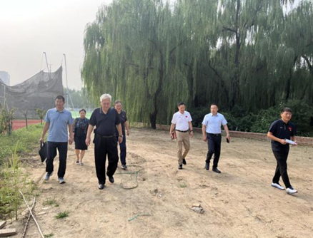 电竞实时数据网
