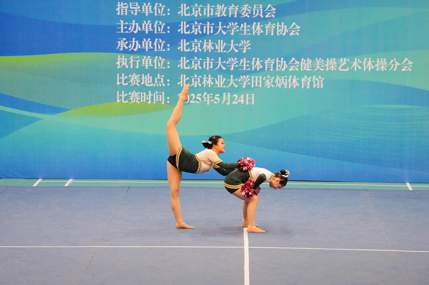 电竞实时数据网