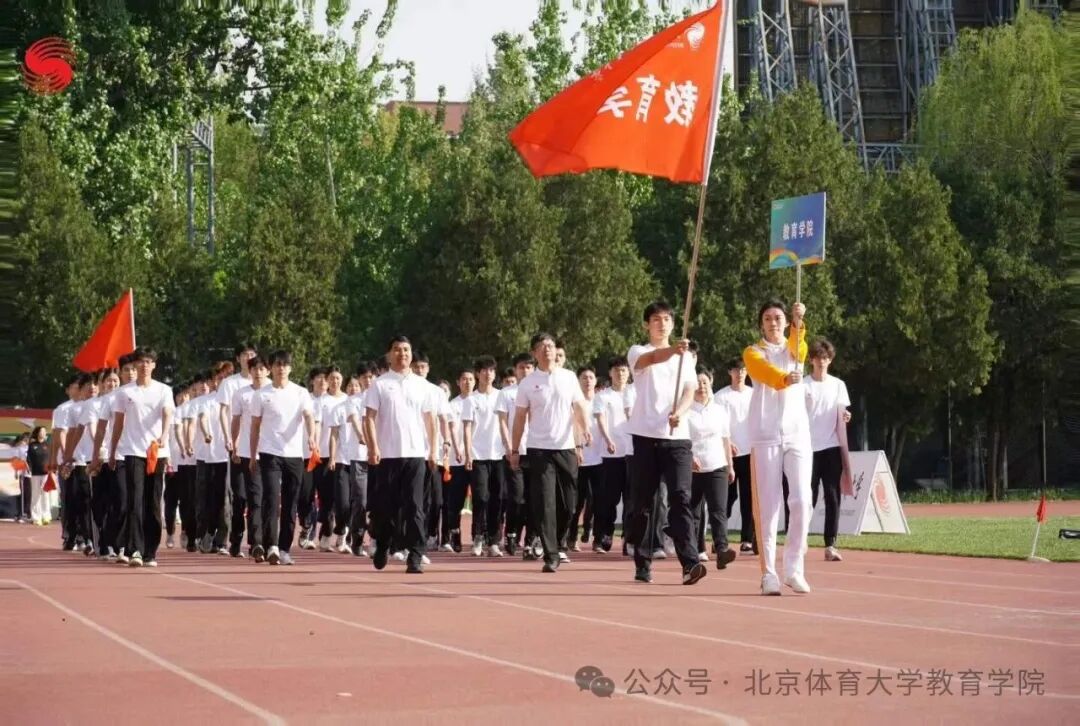 电竞实时数据网