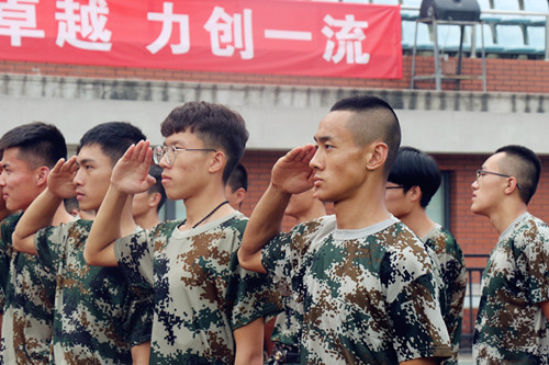 电竞实时数据网